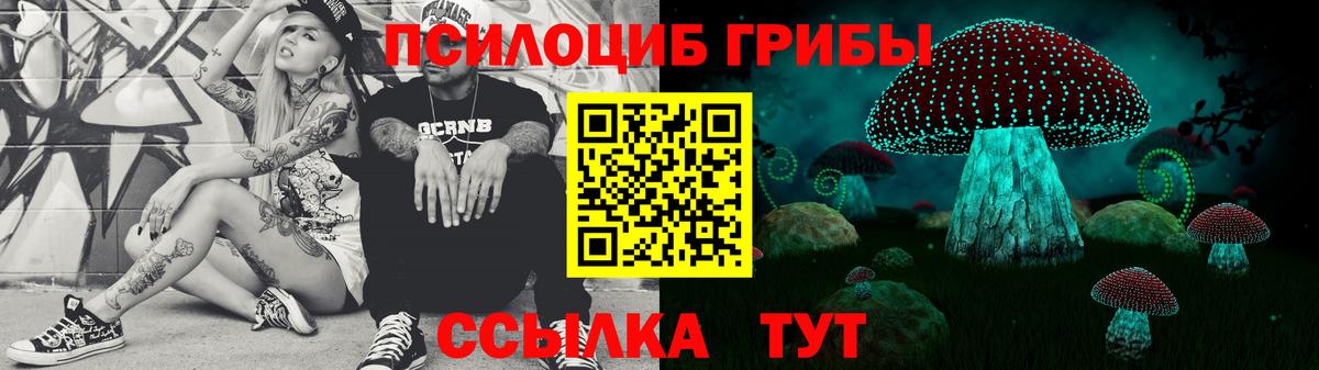 Бахчисарай  Псилоцибиновые грибы Psilocybe  Вход с VPN 